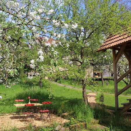 Ferienwohnung Koppelblick Pfarrweisach Zewnętrze zdjęcie